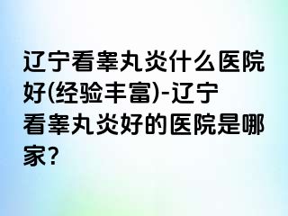 辽宁看睾丸炎什么医院好(经验丰富)-辽宁看睾丸炎好的医院是哪家？